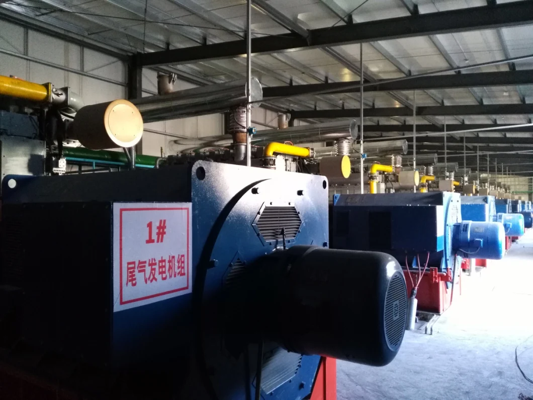 Solid Waste Life Garbage Pyrolysis Gas Power Generation Plant with European Standard