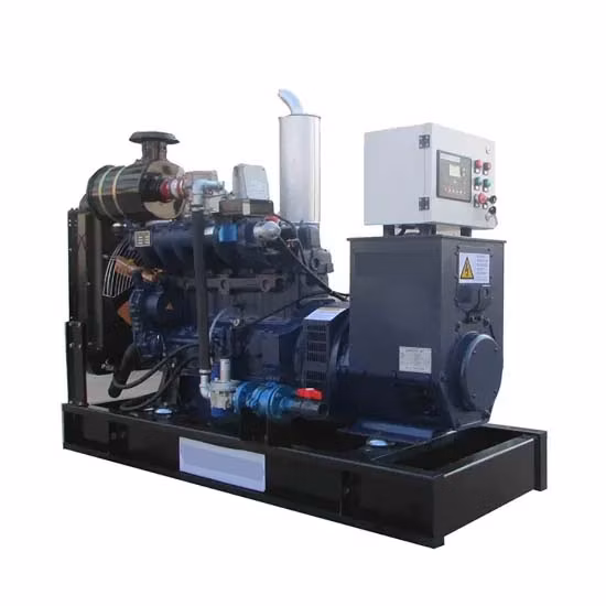 Centrale électrique de générateur de biogaz de déchets d'animaux de ferme