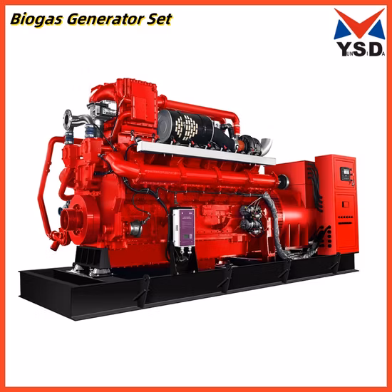 Centrale électrique à piston à gaz bio 1000kw