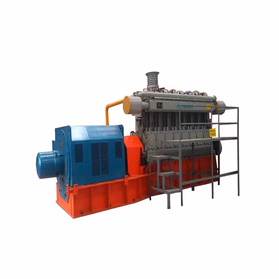 Centrale électrique de 1 à 5 MW Gaz naturel Biogaz Gaz de synthèse Groupe électrogène à biomasse